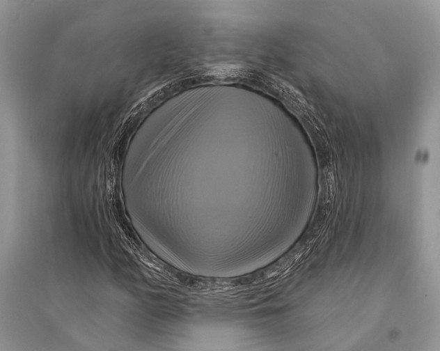 X0000094901158200712201128