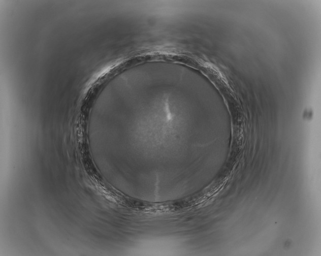 X0000094901159200712201128