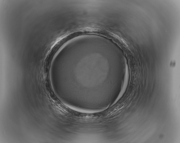 X0000094901160200712201128