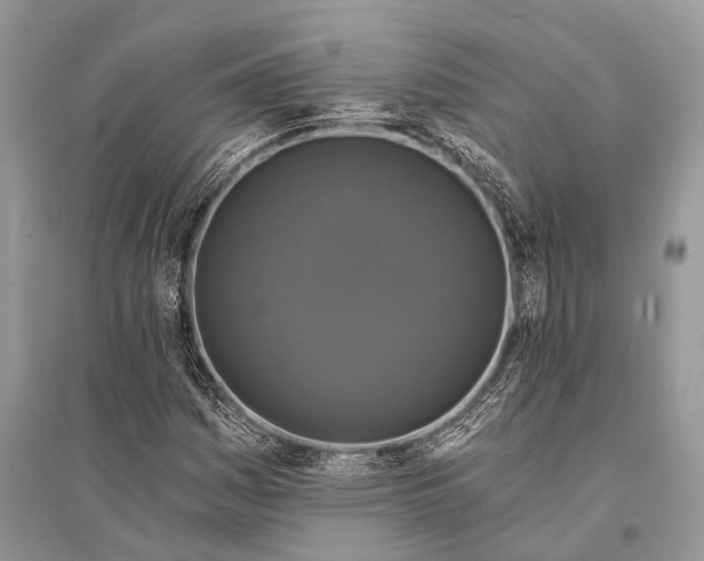 X0000094901161200712201128