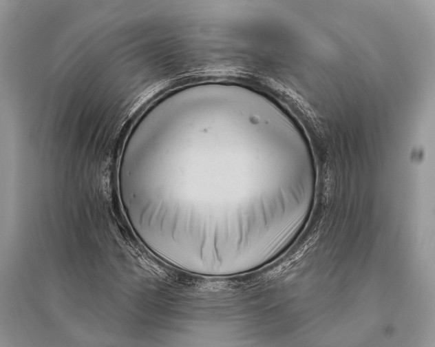 X0000094901162200712201127