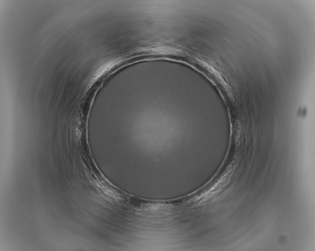 X0000094901163200712201127