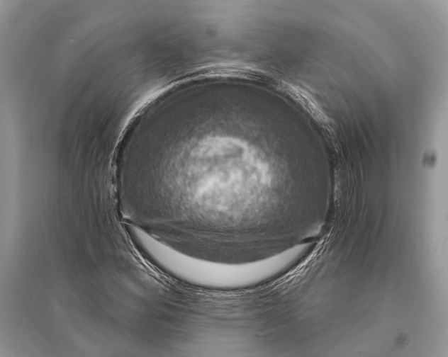 X0000094901164200712201127