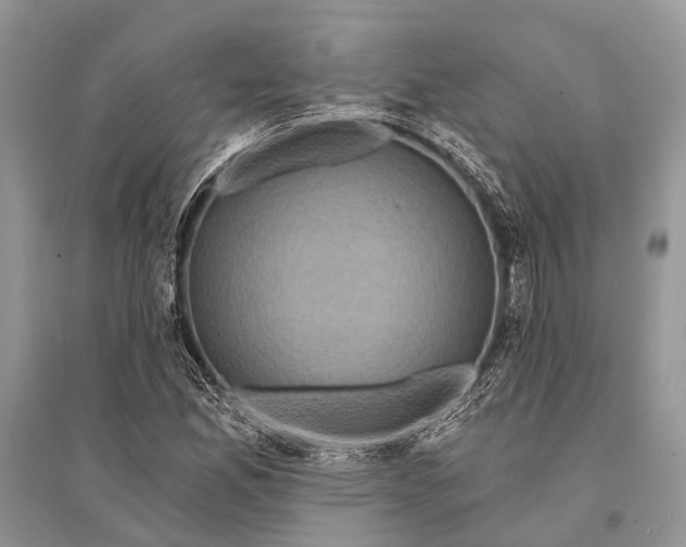 X0000094901165200712201127