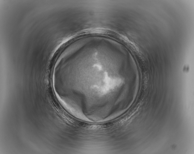 X0000094901166200712201127