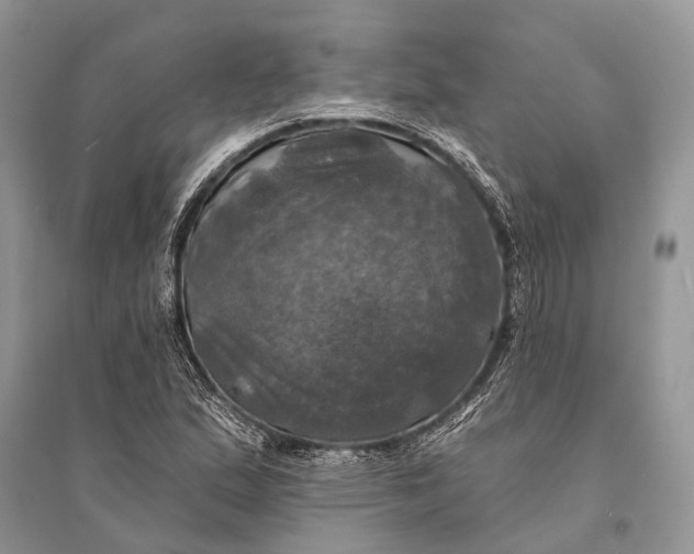 X0000094901167200712201127