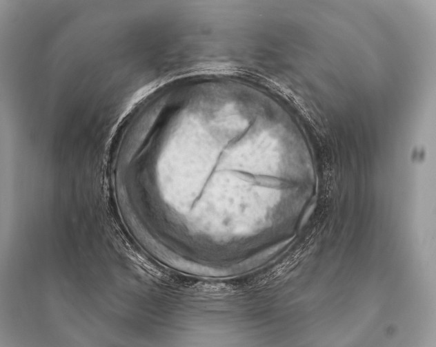 X0000094901168200712201127