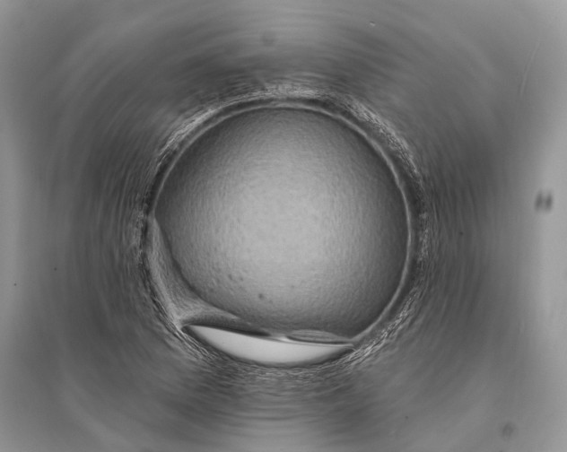 X0000094901169200712201127