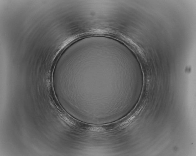 X0000094901170200712201127