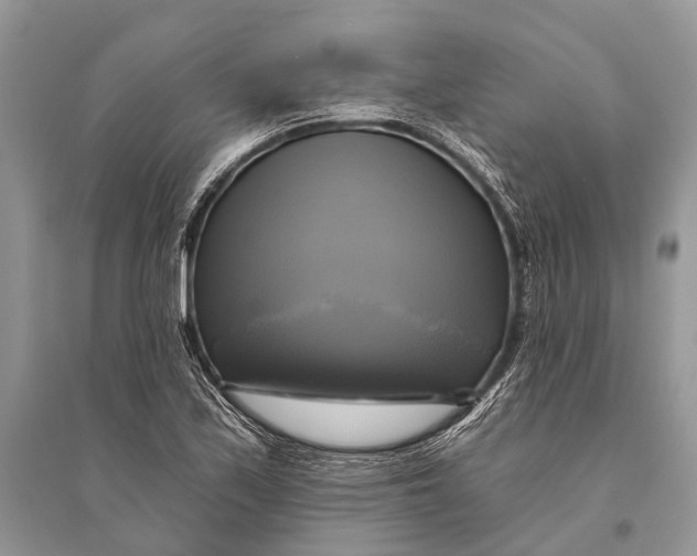 X0000094901171200712201127