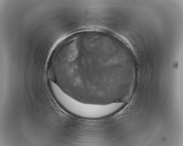 X0000094901172200712201127