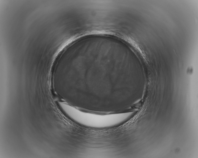 X0000094901173200712201127