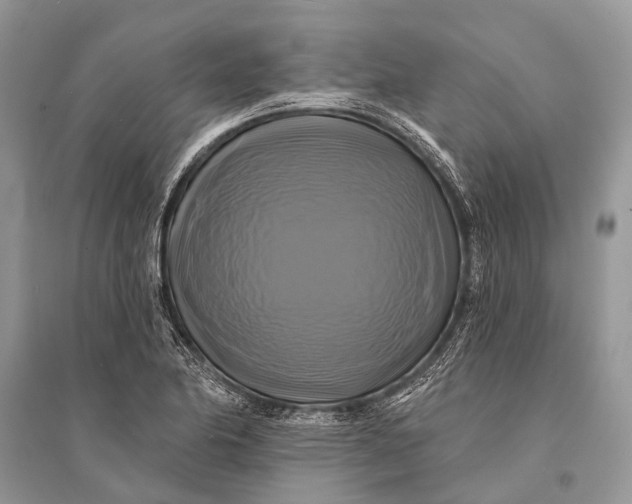 X0000094901174200712201127