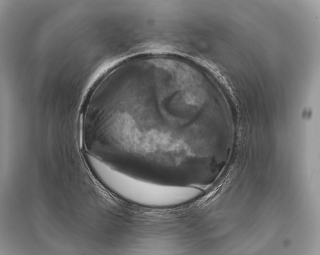 X0000094901175200712201127