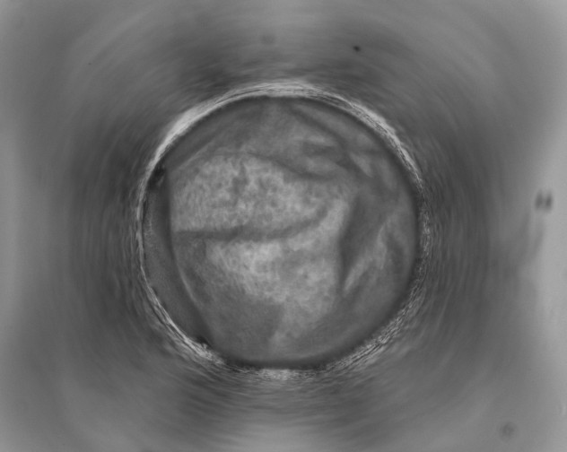 X0000094901176200712201127