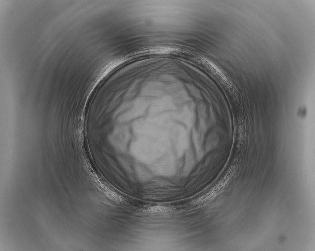 X0000094901178200712201127