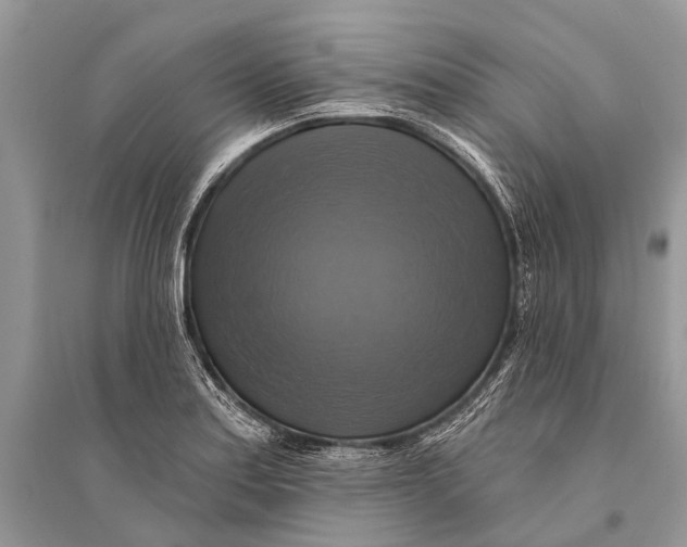 X0000094901179200712201127