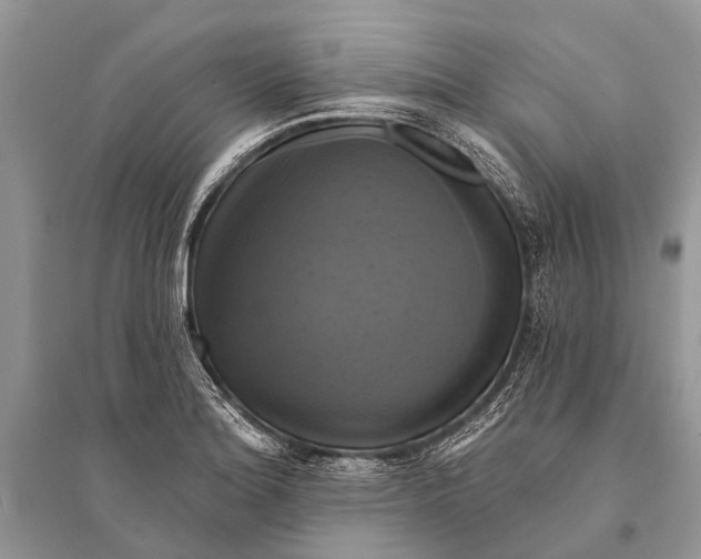 X0000094901180200712201127