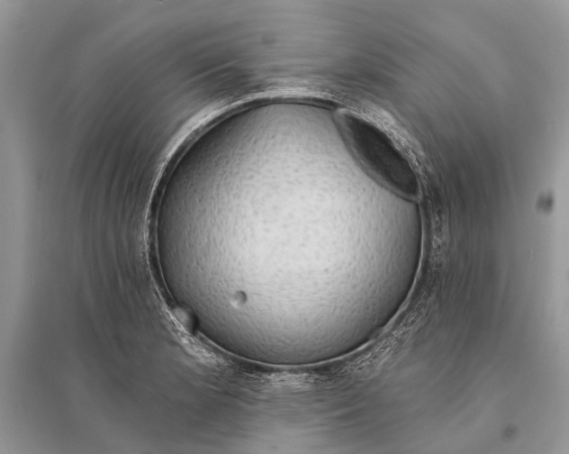 X0000094901181200712201127