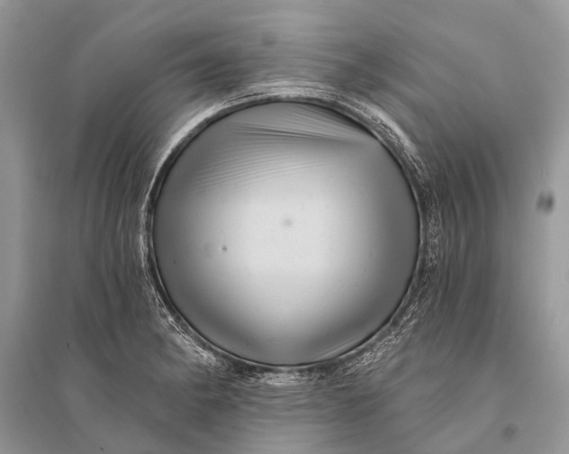 X0000094901182200712201127