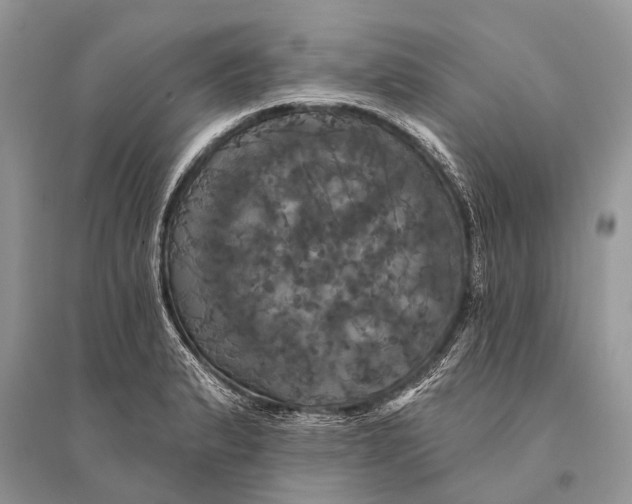 X0000094901183200712201127