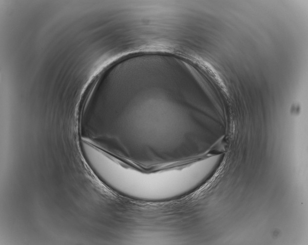 X0000094901184200712201127