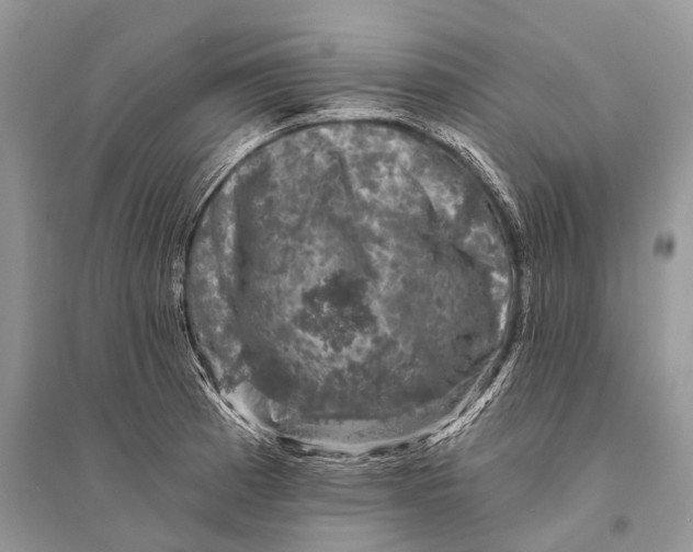 X0000094901185200712201127