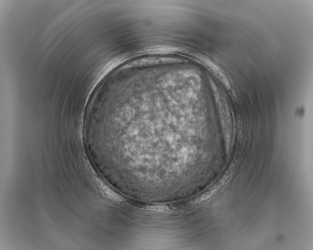 X0000094901186200712201127