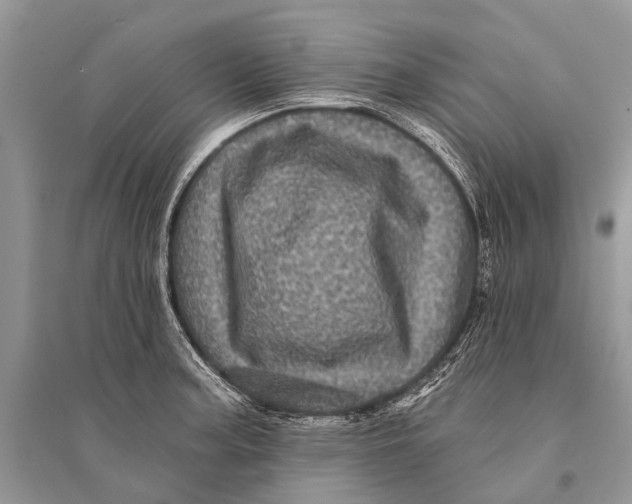 X0000094901187200712201127