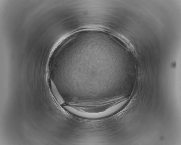 X0000094901188200712201127