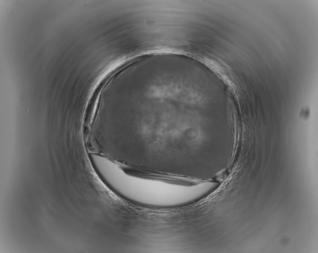 X0000094901189200712201127