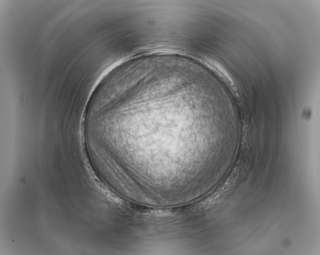 X0000094901190200712201127