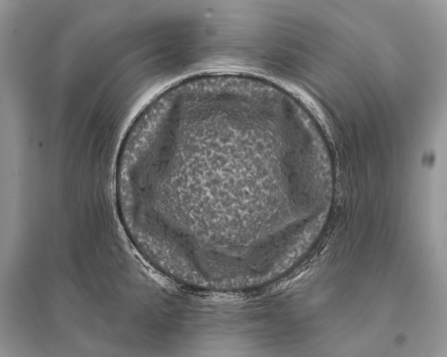 X0000094901191200712201127