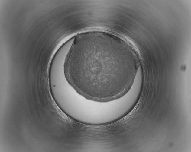 X0000094901192200712201127