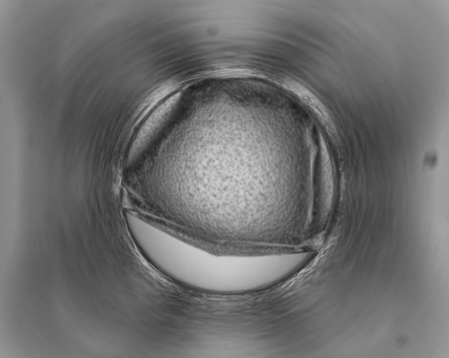 X0000094901193200712201127