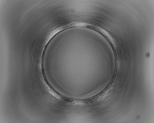 X0000094901194200712201127