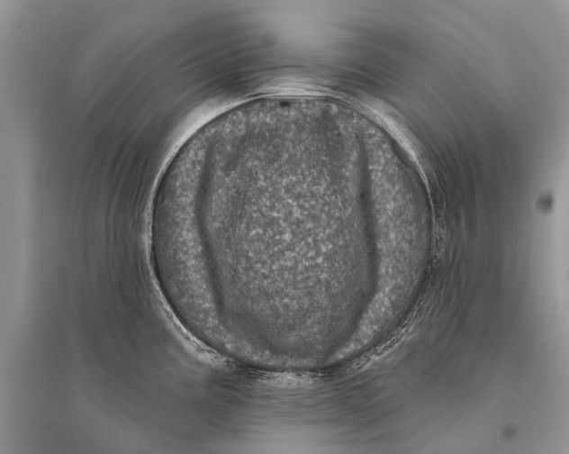 X0000094901195200712201127