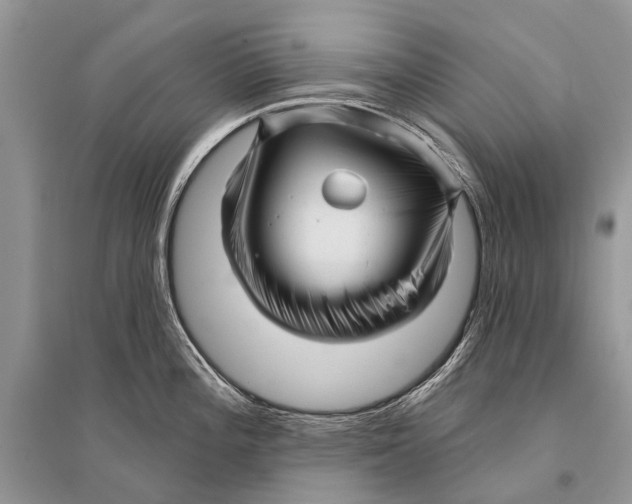 X0000094901196200712201127