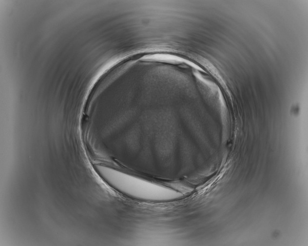 X0000094901197200712201127