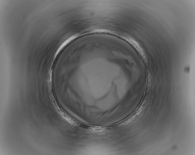 X0000094901198200712201127