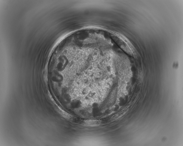 X0000094901199200712201127