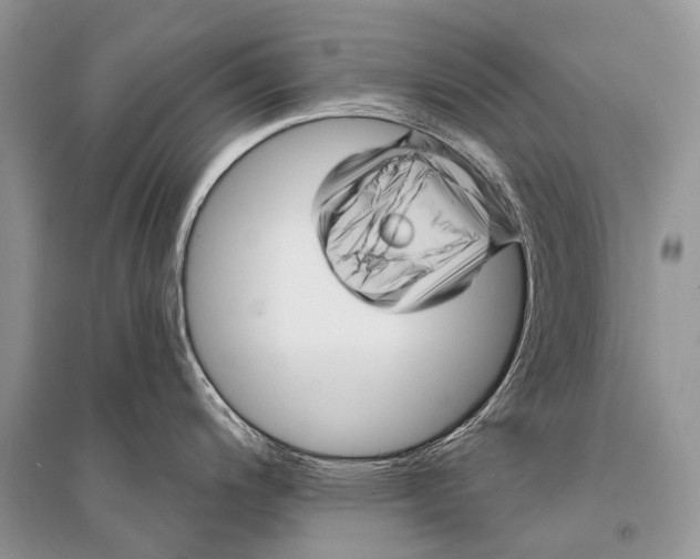 X0000094901200200712201127