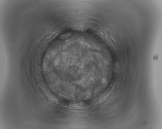 X0000094901201200712201126