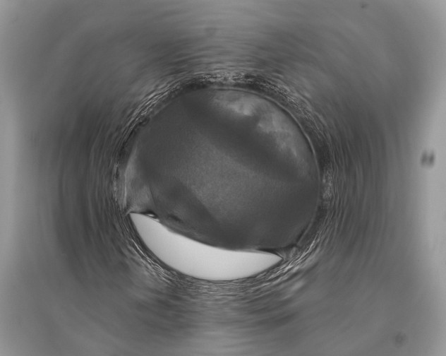 X0000094901202200712201126