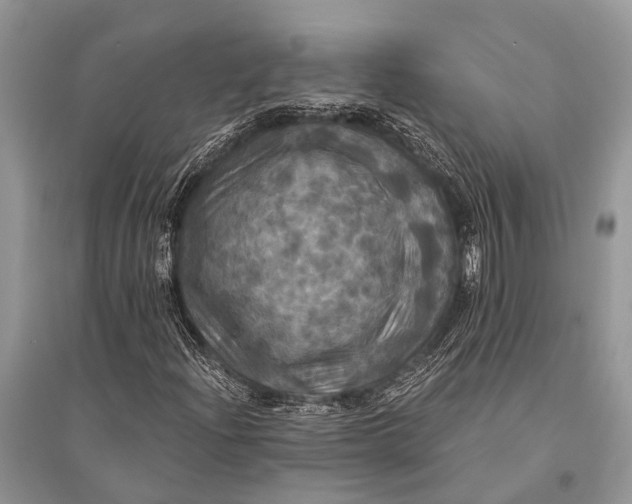 X0000094901204200712201126