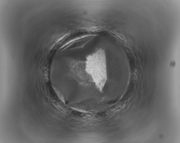 X0000094901205200712201126