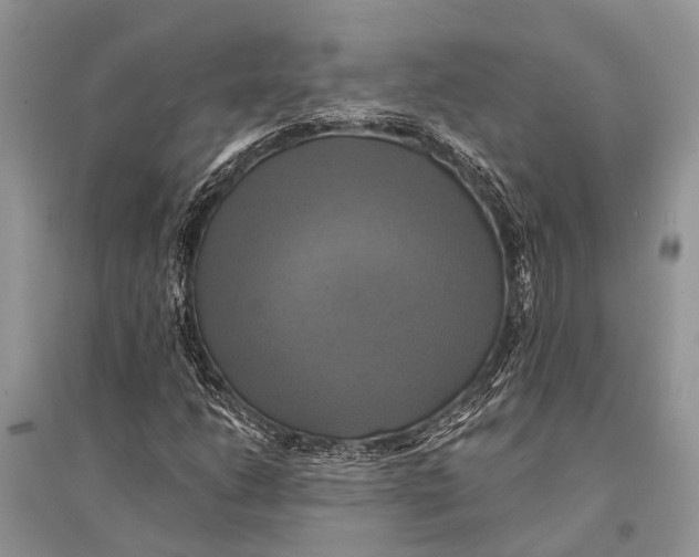 X0000094901206200712201126