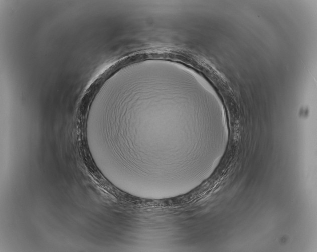 X0000094901208200712201126