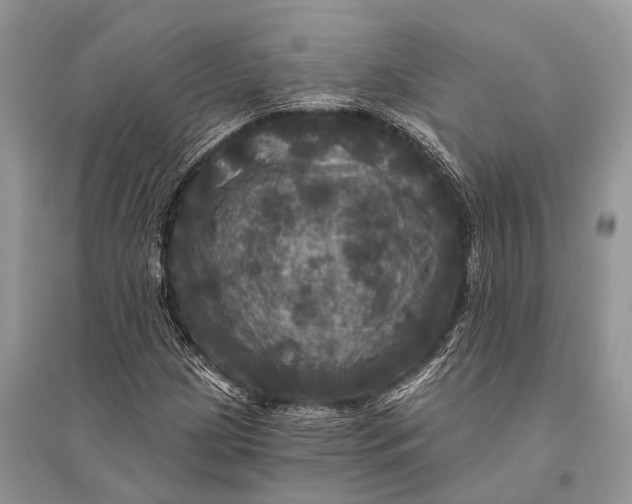 X0000094901209200712201126