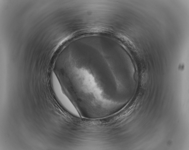 X0000094901210200712201126